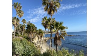 lagunabeach-sightseeing