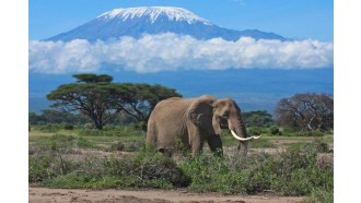 masaimara-sightseeing