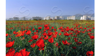 ashgabat-sightseeing