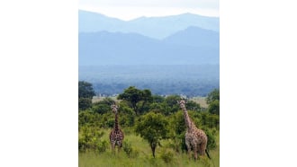 zanzibar-sightseeing