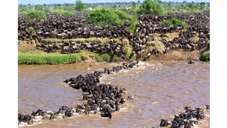 daressalaam-sightseeing