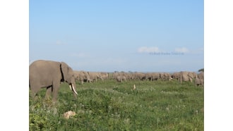 nairobi-sightseeing