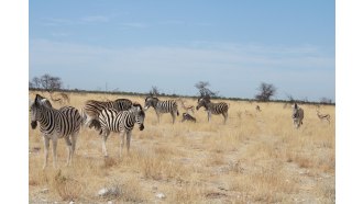 windhoek-sightseeing