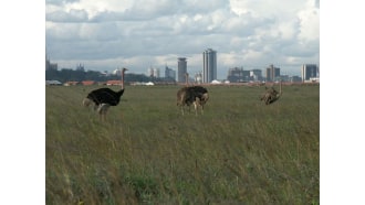 nairobi-sightseeing