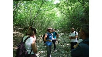 sangimignano-sightseeing