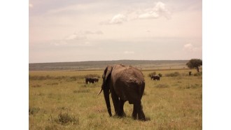 nairobi-sightseeing