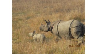 kathmandu-sightseeing