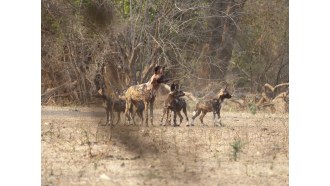 kariba-sightseeing