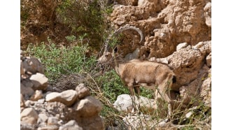 jerusalem-sightseeing