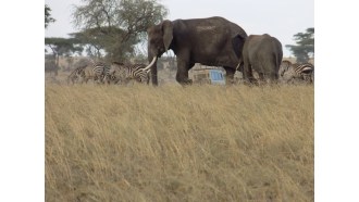 arusha-sightseeing