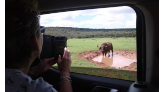 addoelephantpark-sightseeing