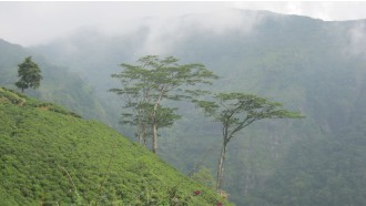 kandy-sightseeing