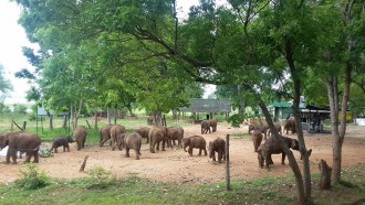 bentota-sightseeing