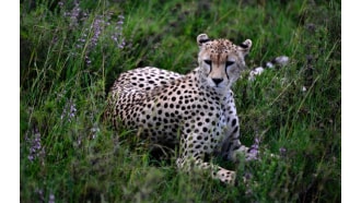 arusha-sightseeing