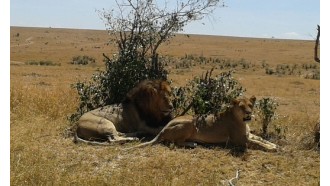 nairobi-sightseeing