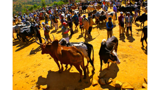 antananarivo-sightseeing