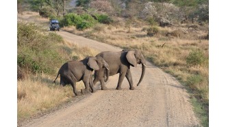 mountkilimanjaro-sightseeing