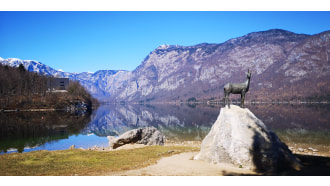 bohinj-sightseeing