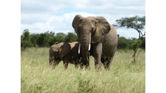 arusha-sightseeing