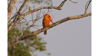 dhaka-sightseeing