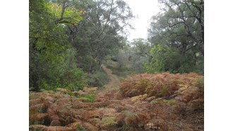 huelva-sightseeing