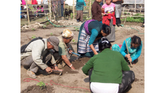 pokhara-sightseeing