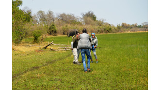 maun-sightseeing