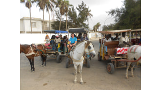 dakar-sightseeing