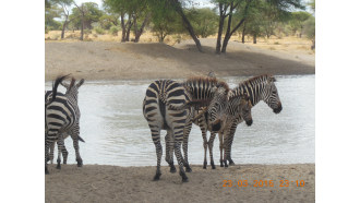 mountkilimanjaro-sightseeing