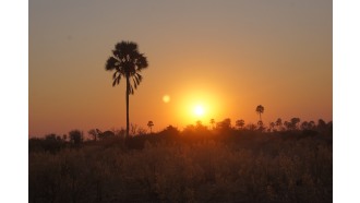 maun-sightseeing