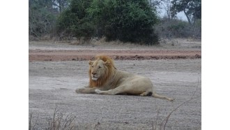 victoriafalls-sightseeing