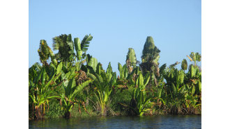 antananarivo-sightseeing