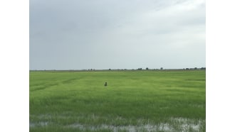 siemreap-sightseeing