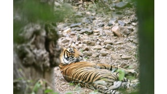 jaipur-sightseeing