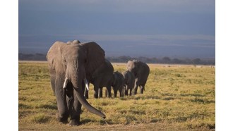 arusha-sightseeing