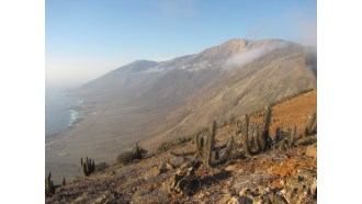 antofagasta-sightseeing