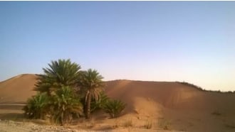 ghardaia-sightseeing