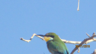 gaborone-sightseeing