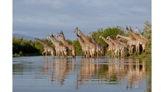 daressalaam-sightseeing