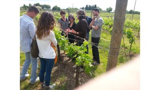 montepulciano-sightseeing