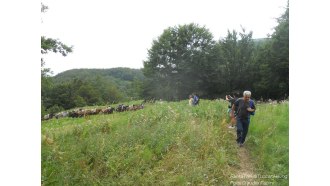 tuscany-sightseeing