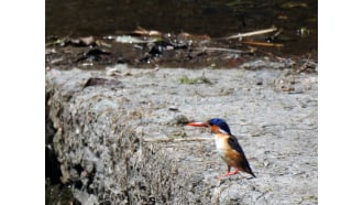 arusha-sightseeing