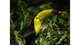 belize-sightseeing