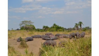 arusha-sightseeing