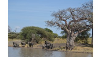 arusha-sightseeing