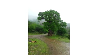 salalah-sightseeing