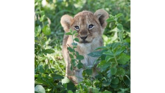 arusha-sightseeing