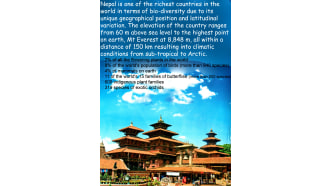 kathmandu-sightseeing