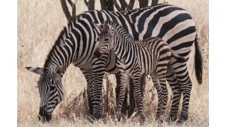 arusha-sightseeing