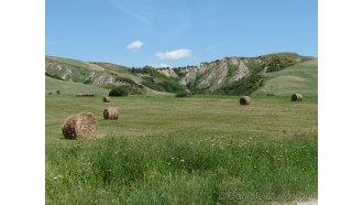 siena-sightseeing